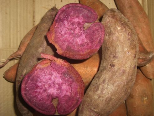 Suesskartoffeln rot, violettes (lila) Fruchtfleisch, aus Honduras, 500g