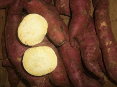 Suesskartoffeln rot, weisses Fruchtfleisch, Honduras, 500g