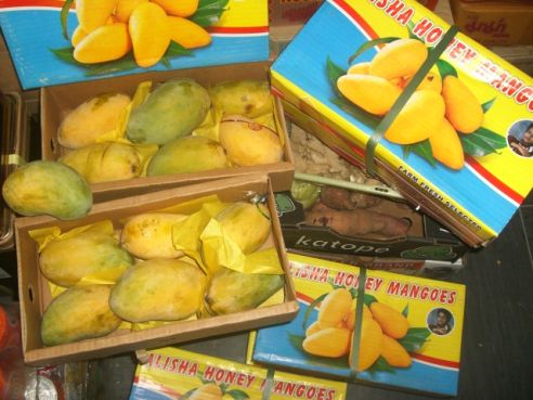 Pakistan Honig Mango, reif, frisch, 1,5kg (4 St.)