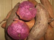 Suesskartoffeln rot, violettes (lila) Fruchtfleisch, aus Guatemala, 500g
